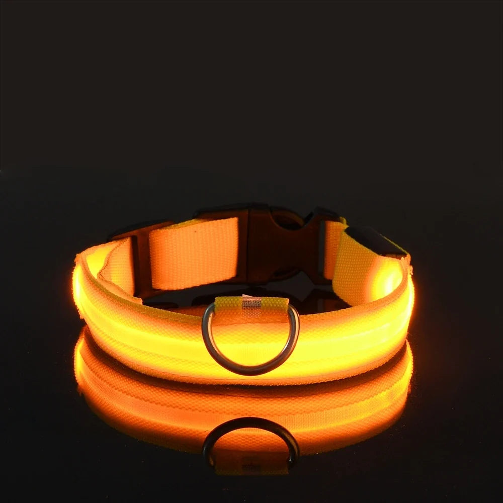 LED Glow in the Dark Dog Leash | Heavy Duty Night Safety Pet Leash
