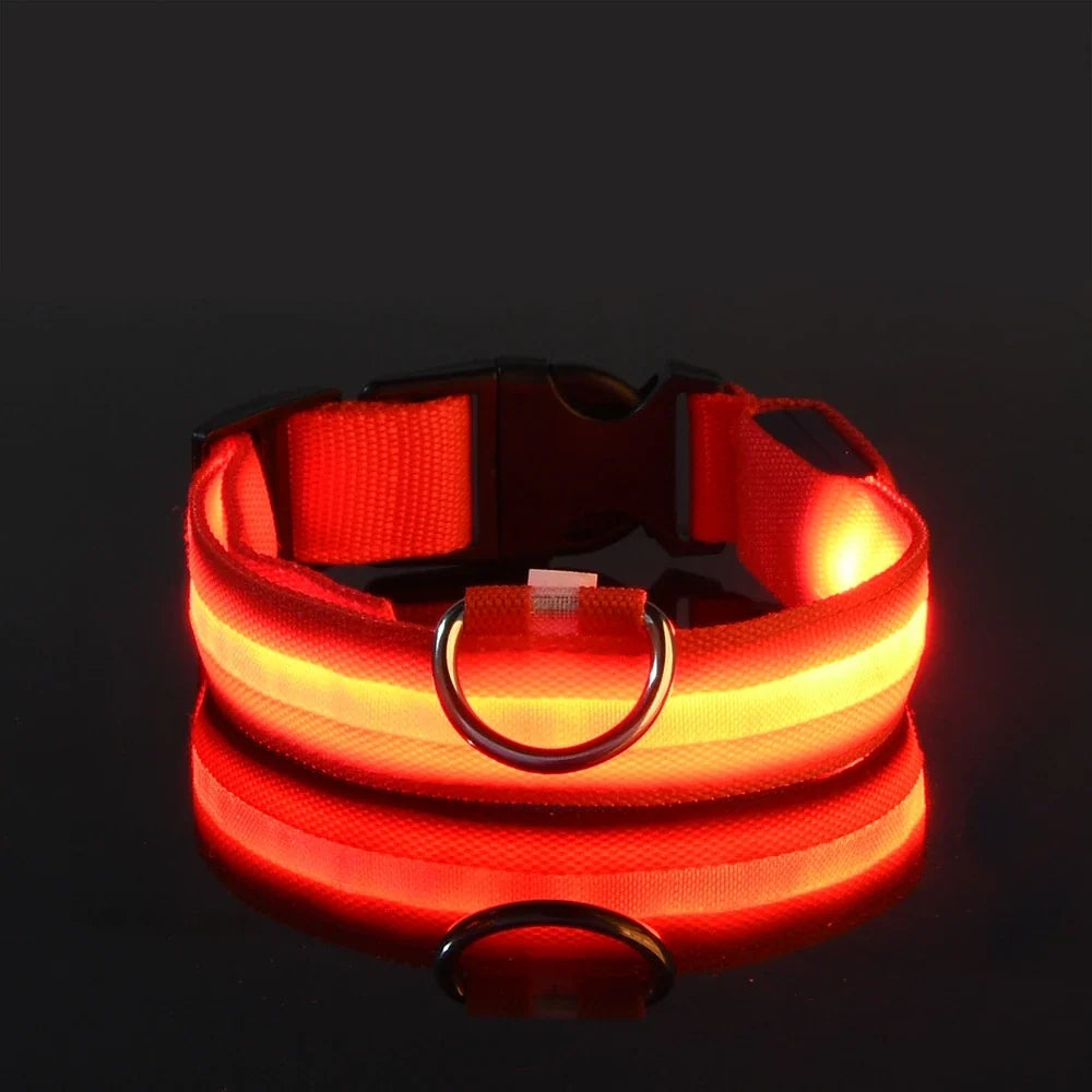 LED Glow in the Dark Dog Leash | Heavy Duty Night Safety Pet Leash