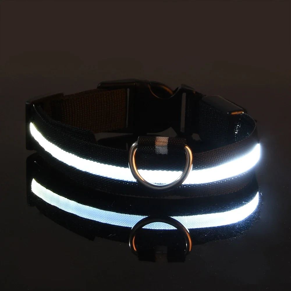 LED Glow in the Dark Dog Leash | Heavy Duty Night Safety Pet Leash