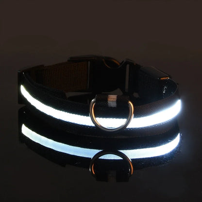 LED Glow in the Dark Dog Leash | Heavy Duty Night Safety Pet Leash