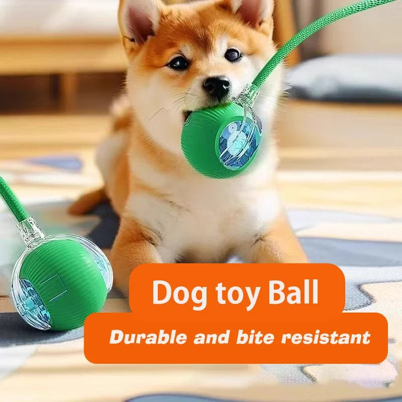 Smart Interactive Dog Toy Ball | Automatic Rolling Bouncing Puppy Toy