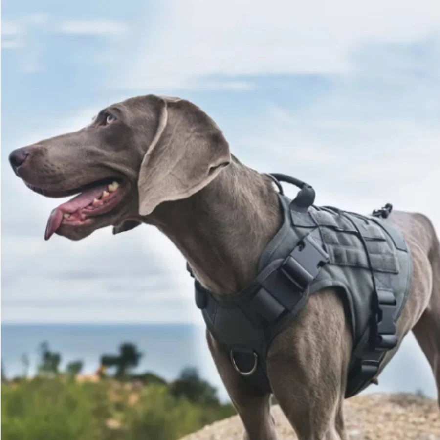 Tactical No-Pull Dog Harness | Heavy-Duty Padded Military Training Vest