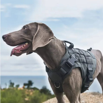 Tactical No-Pull Dog Harness | Heavy-Duty Padded Military Training Vest