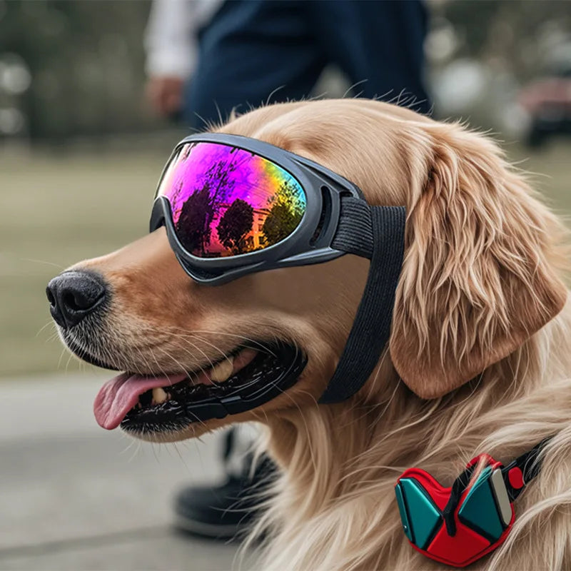 UV Protection Adjustable Dog Goggles | Tinted Anti-Glare Pet Sunglasses