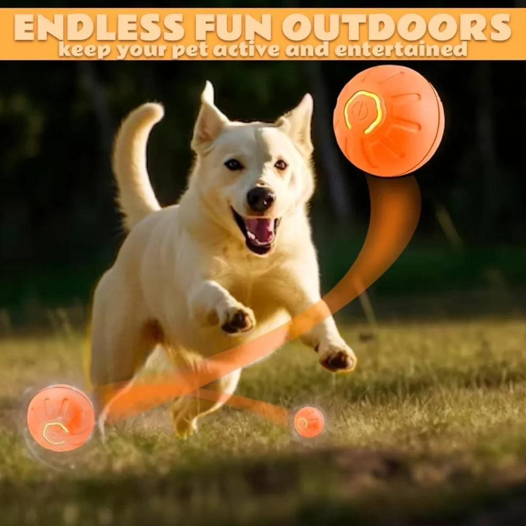 Smart Interactive Gravity Pet Ball | Electric Bouncing Toy for Cats & Dogs