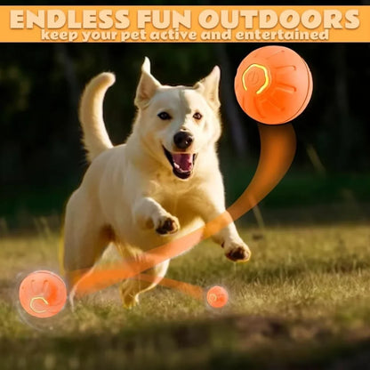 Smart Interactive Gravity Pet Ball | Electric Bouncing Toy for Cats & Dogs
