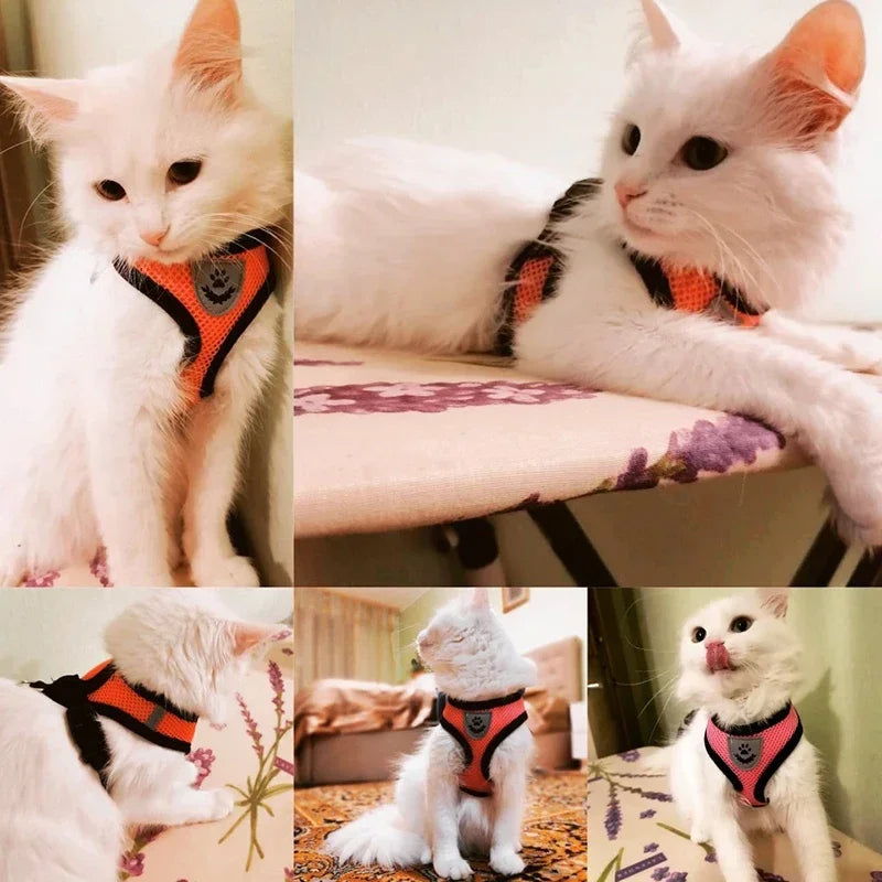 Reflective Mesh Dog Harness Vest | No-Choke Adjustable Pet Leash Set