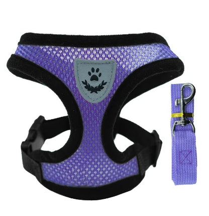 Reflective Mesh Dog Harness Vest | No-Choke Adjustable Pet Leash Set