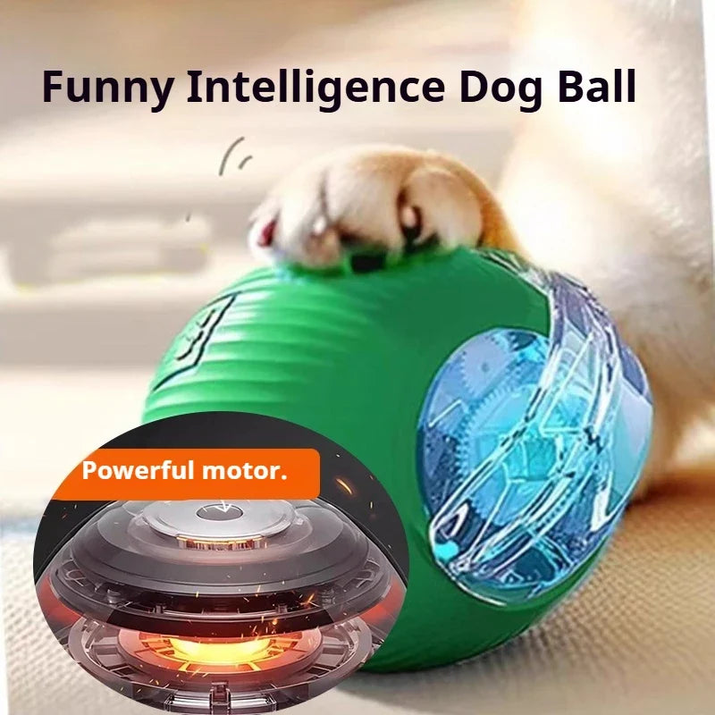 Smart Interactive Dog Toy Ball | Automatic Rolling Bouncing Puppy Toy