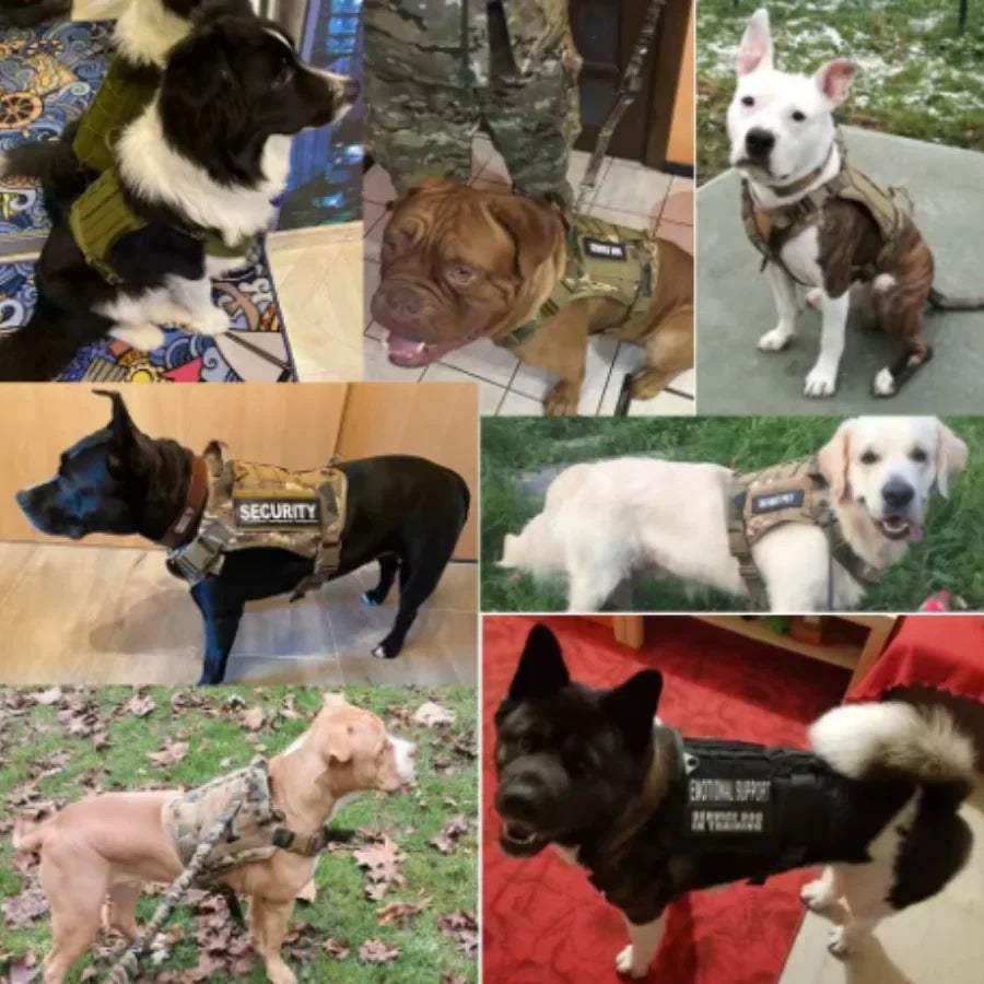 Tactical No-Pull Dog Harness | Heavy-Duty Padded Military Training Vest