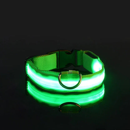 LED Glow in the Dark Dog Leash | Heavy Duty Night Safety Pet Leash