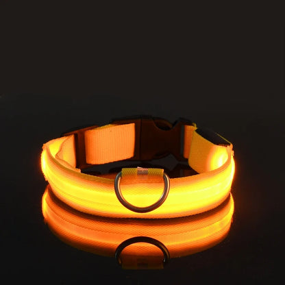 LED Glow in the Dark Dog Leash | Heavy Duty Night Safety Pet Leash