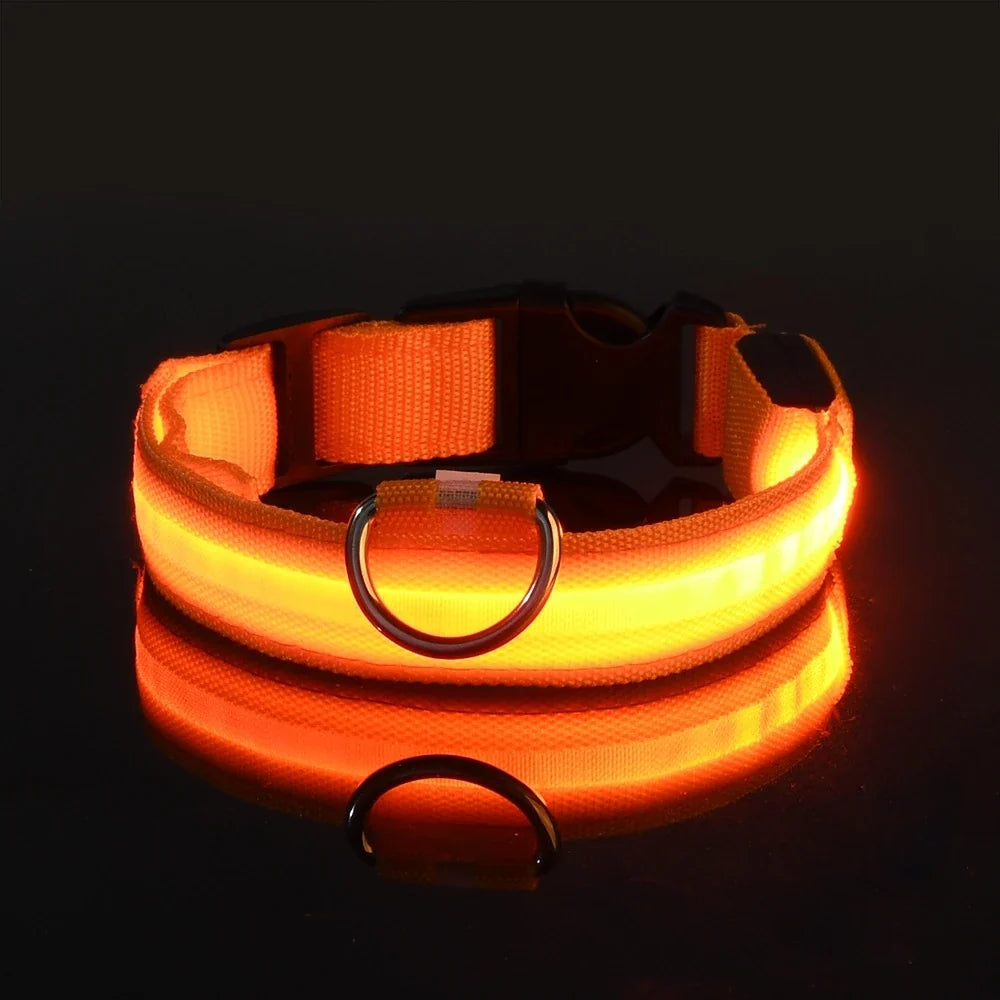 LED Glow in the Dark Dog Leash | Heavy Duty Night Safety Pet Leash