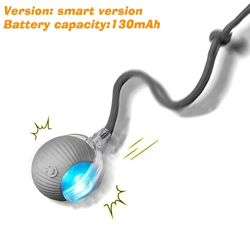 Smart Interactive Dog Toy Ball | Automatic Rolling Bouncing Puppy Toy