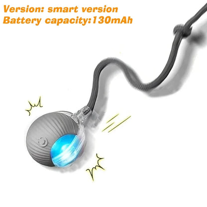 Smart Interactive Dog Toy Ball | Automatic Rolling Bouncing Puppy Toy