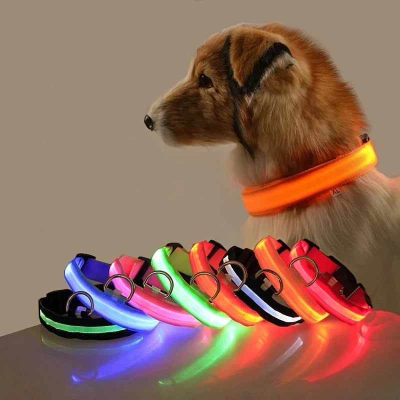 LED Glow in the Dark Dog Leash | Heavy Duty Night Safety Pet Leash