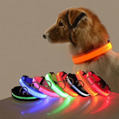 LED Glow in the Dark Dog Leash | Heavy Duty Night Safety Pet Leash