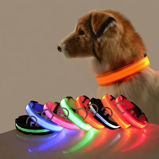 LED Glow in the Dark Dog Leash | Heavy Duty Night Safety Pet Leash