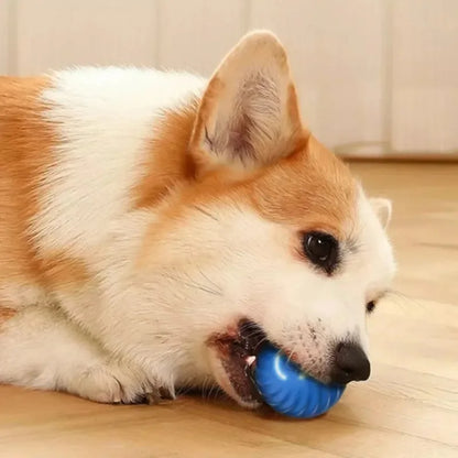 Smart Interactive Dog Toy Ball | Automatic Rolling Bouncing Pet Toy