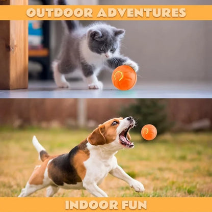 Smart Interactive Gravity Pet Ball | Electric Bouncing Toy for Cats & Dogs