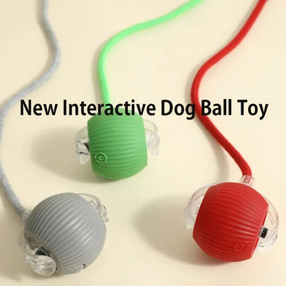 Smart Interactive Dog Toy Ball | Automatic Rolling Bouncing Puppy Toy