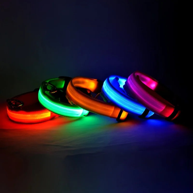 LED Glow in the Dark Dog Leash | Heavy Duty Night Safety Pet Leash