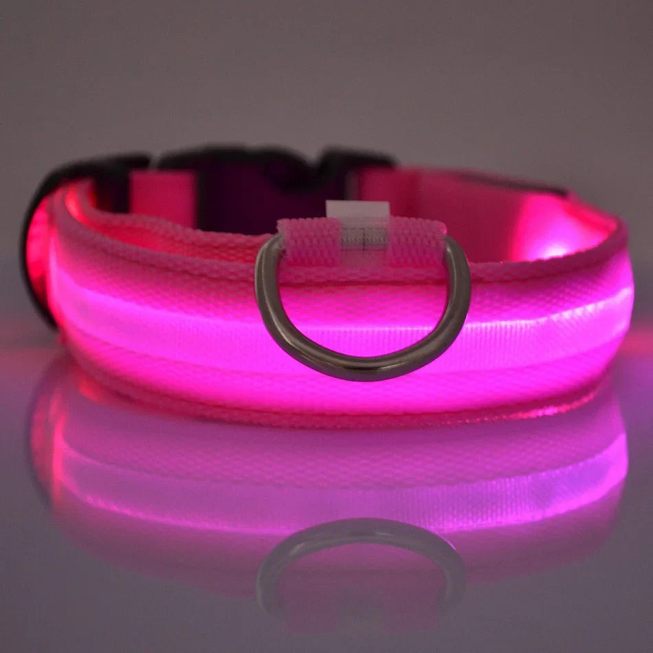 LED Glow in the Dark Dog Leash | Heavy Duty Night Safety Pet Leash