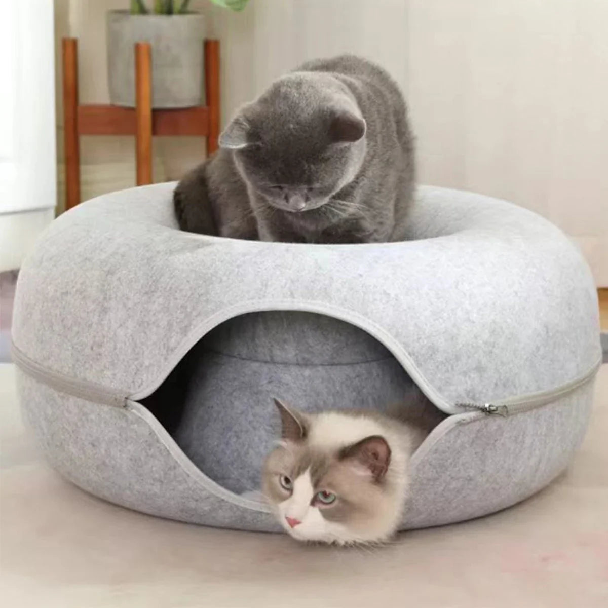 Interactive Donut Cat Bed & Tunnel – Felt Cat House Toy