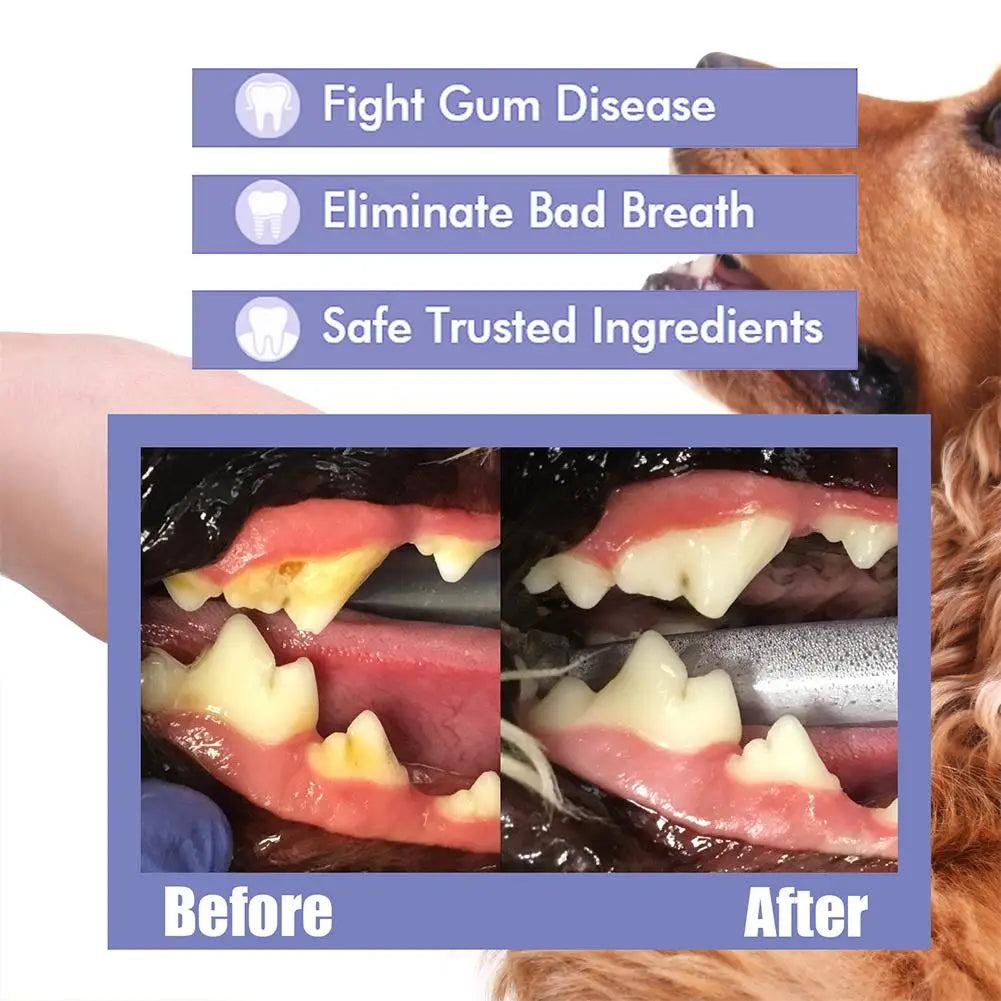 Advanced Pet Dental Spray 30ml | Plaque & Tartar Bad Breath Freshener