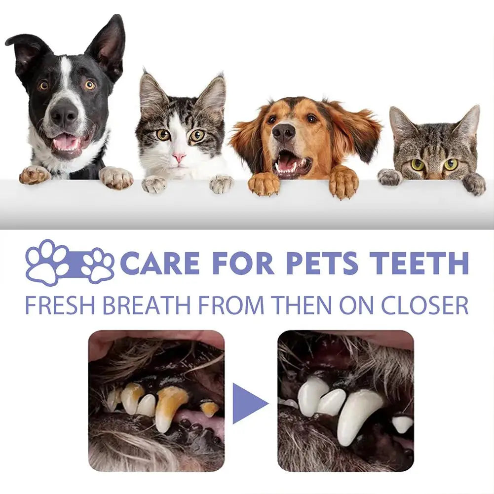 Advanced Pet Dental Spray 30ml | Plaque & Tartar Bad Breath Freshener