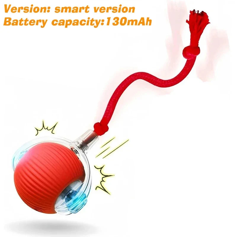 Smart Interactive Dog Toy Ball | Automatic Rolling Bouncing Puppy Toy
