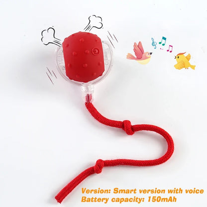 Smart Interactive Dog Toy Ball | Automatic Rolling Bouncing Puppy Toy