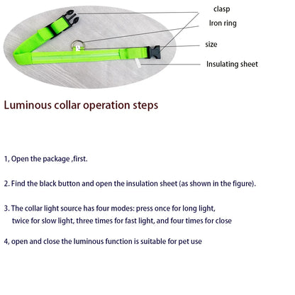 LED Glow in the Dark Dog Leash | Heavy Duty Night Safety Pet Leash