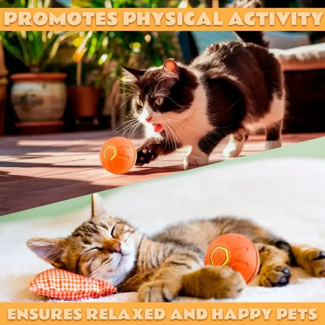 Smart Interactive Gravity Pet Ball | Electric Bouncing Toy for Cats & Dogs