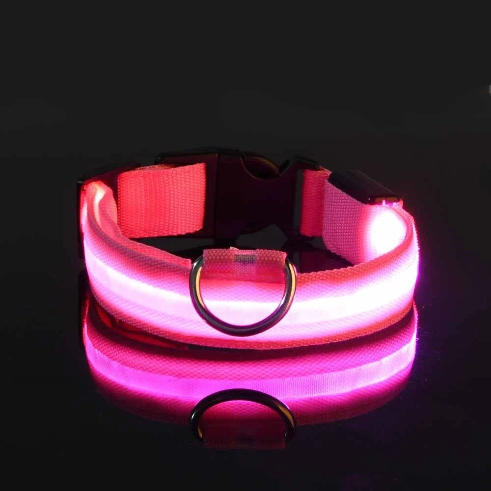 LED Glow in the Dark Dog Leash | Heavy Duty Night Safety Pet Leash