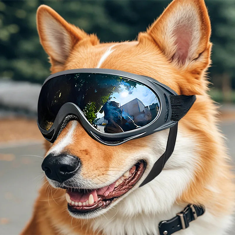 UV Protection Adjustable Dog Goggles | Tinted Anti-Glare Pet Sunglasses