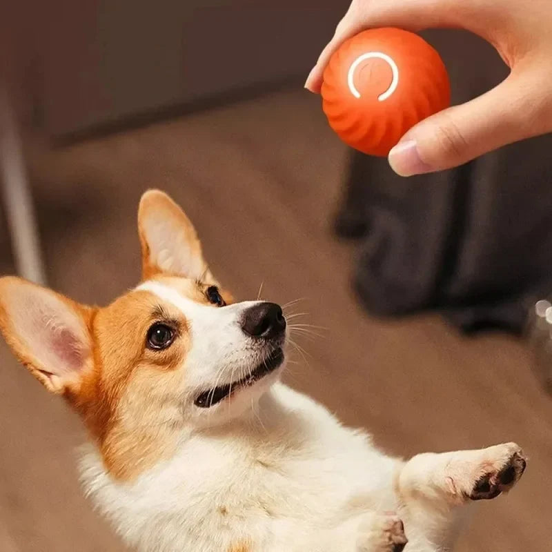Smart Interactive Dog Toy Ball | Automatic Rolling Bouncing Pet Toy