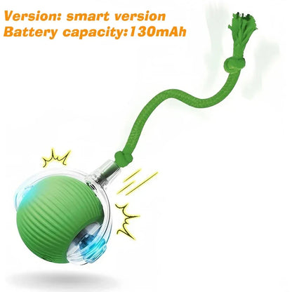 Smart Interactive Dog Toy Ball | Automatic Rolling Bouncing Puppy Toy