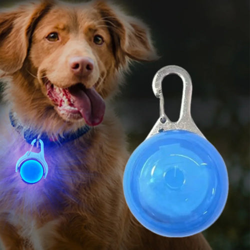 LED Glow Dog Collar Pendant | Light Up Night Safety Pet Tag